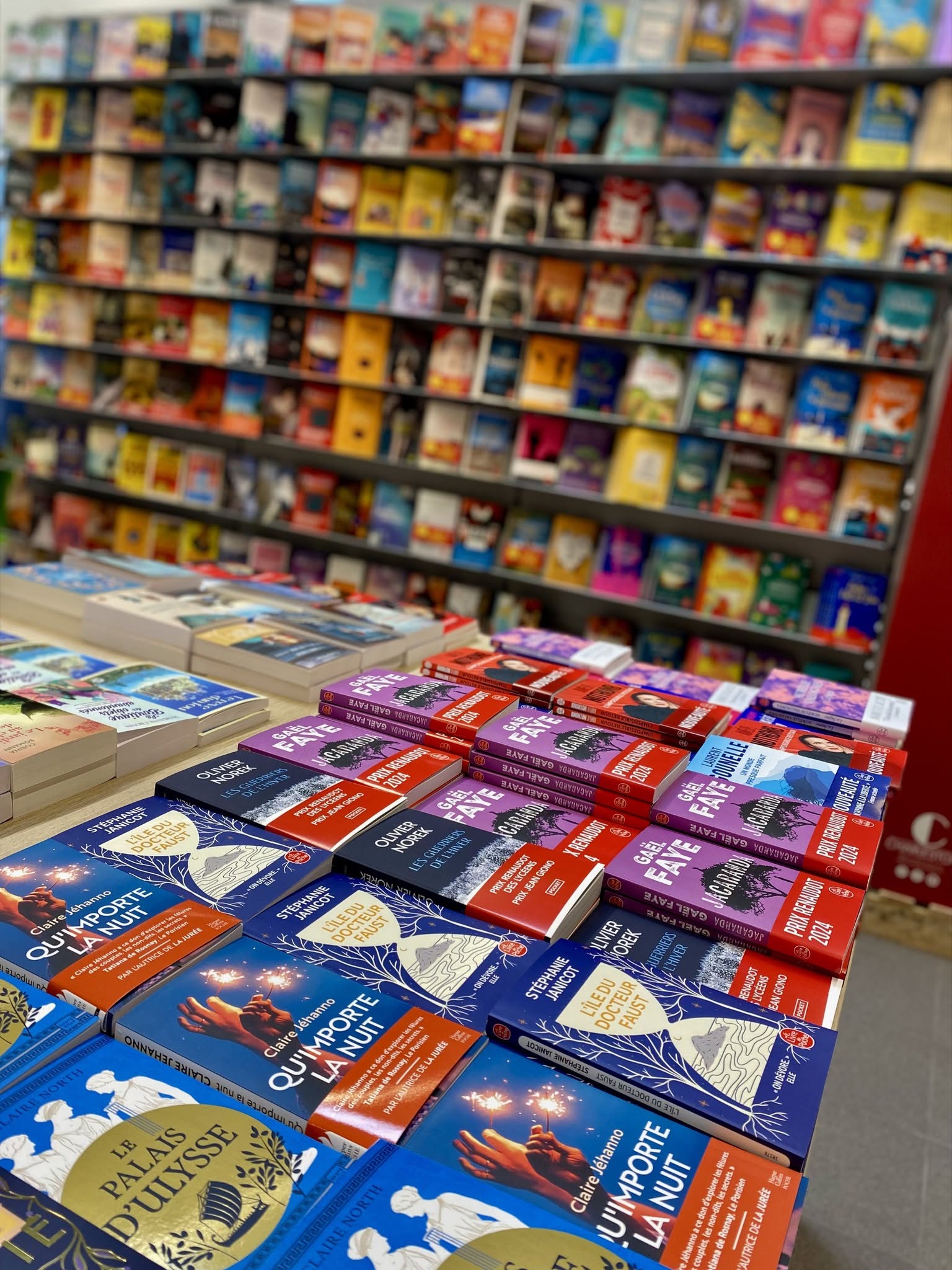 Rayons litt&eacute;rature &agrave; la librairie D&eacute;livrez-vous