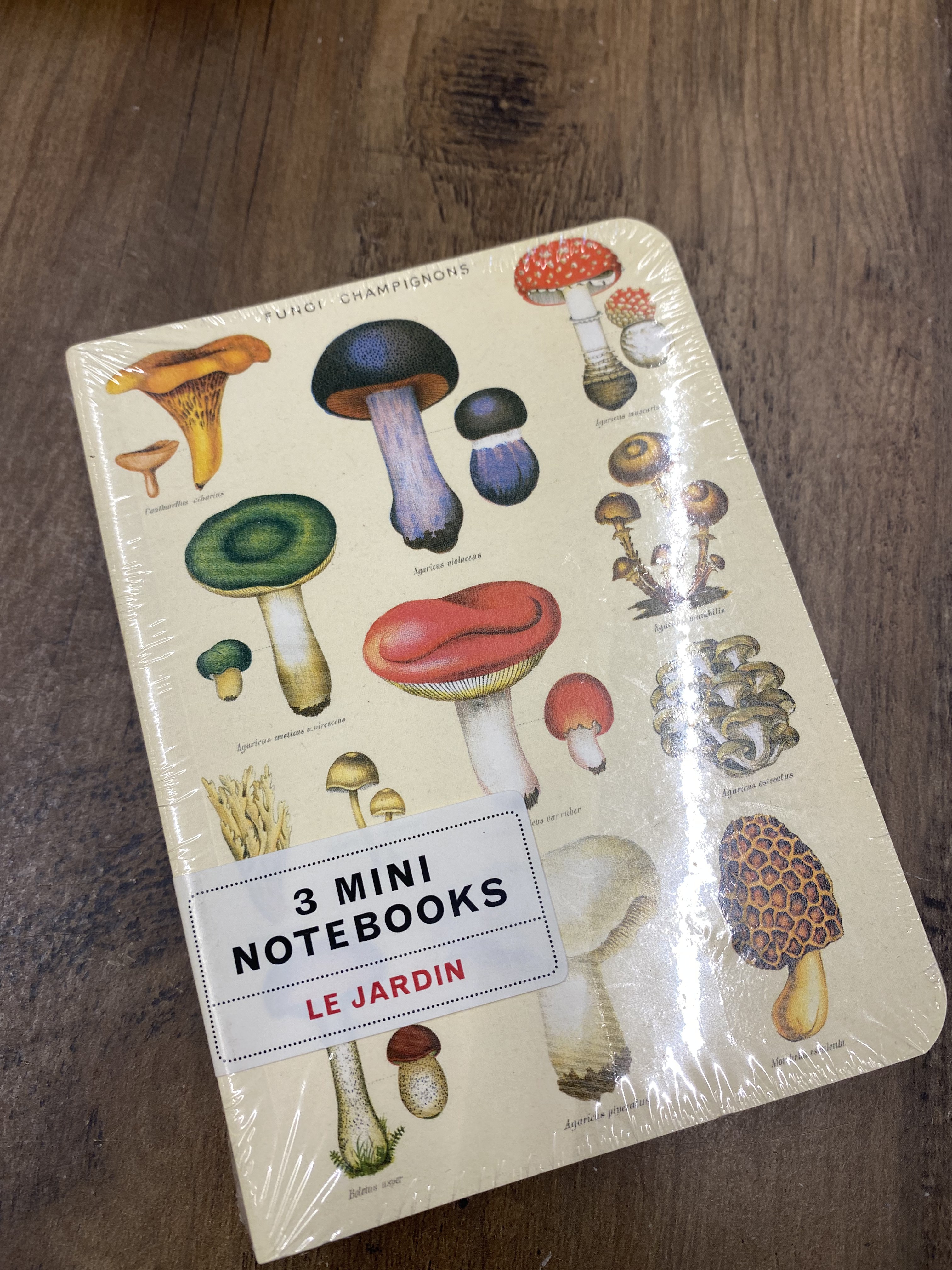 Carnets, photo 25