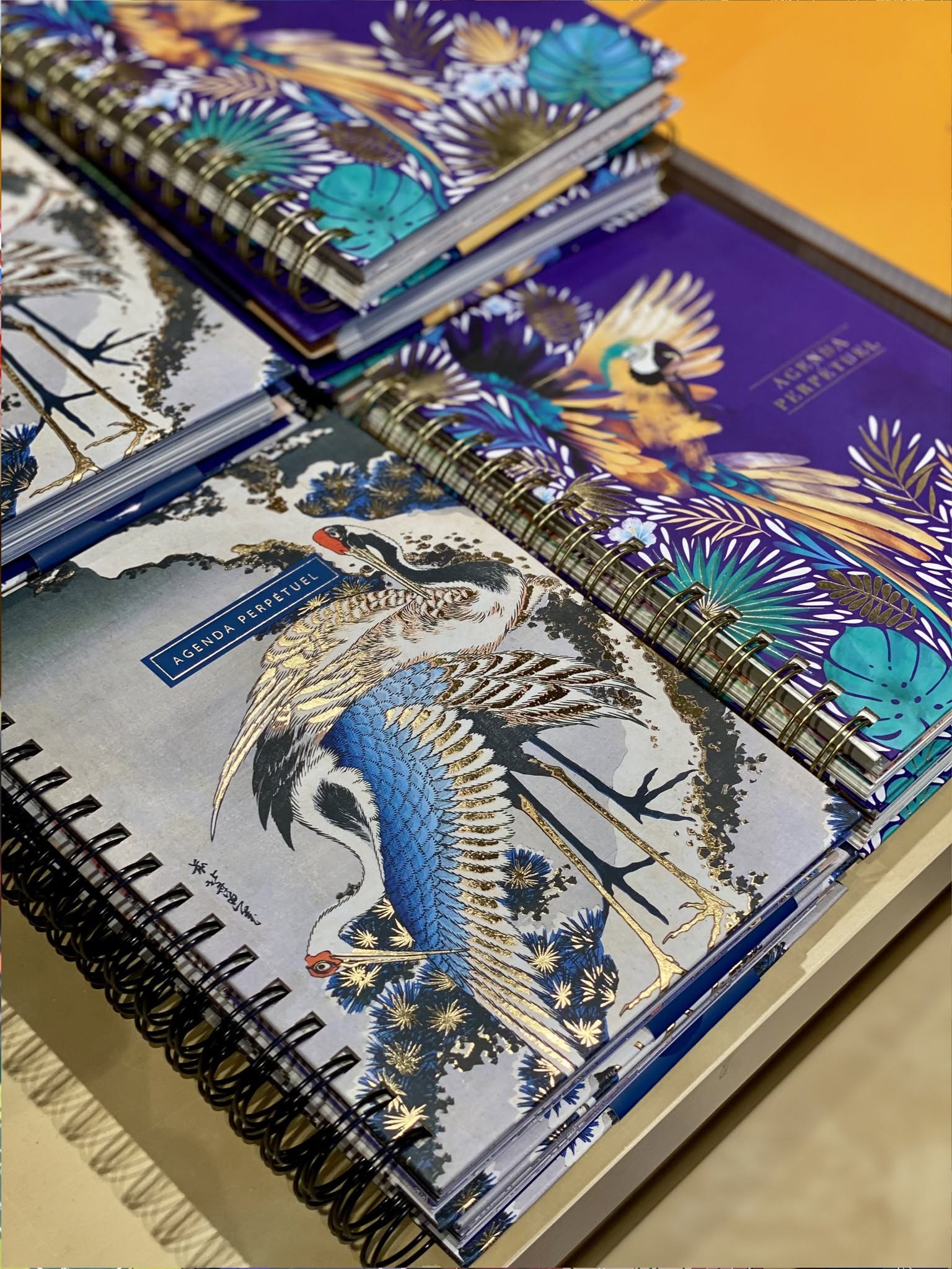 Carnets et notebooks Clairefontaine et Paperblanks