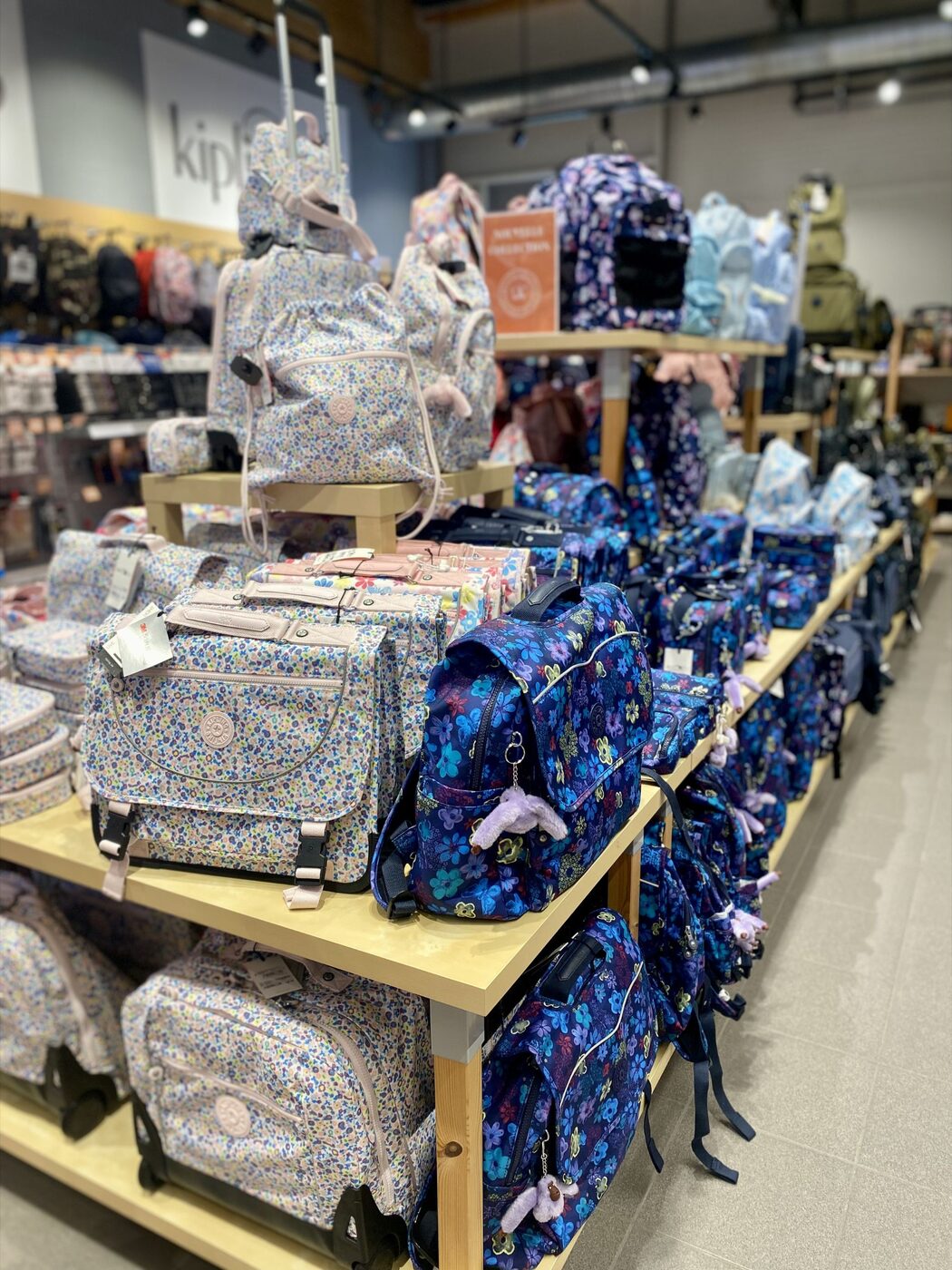 Collection Kipling, photo 27