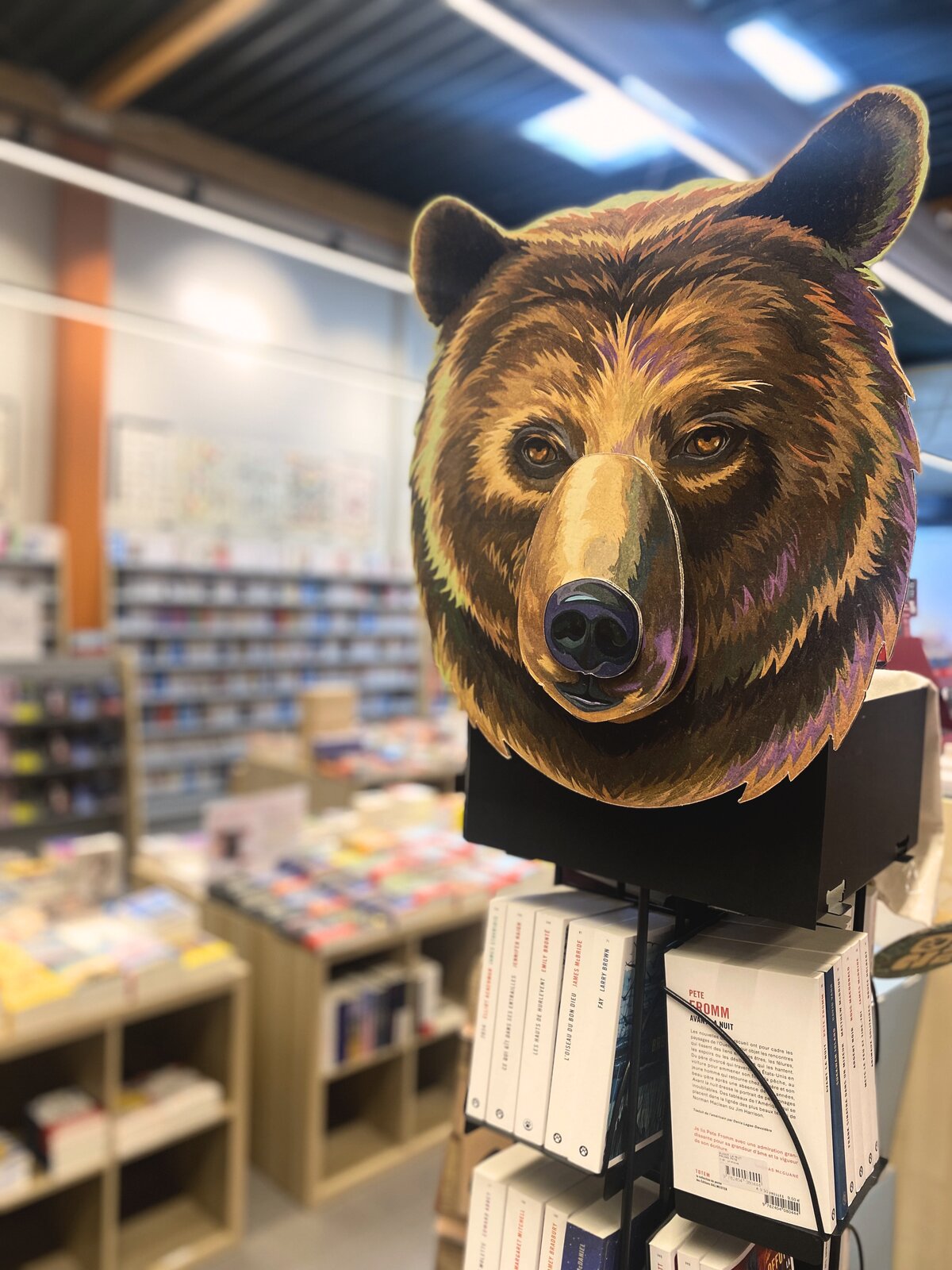 L'ours totem au cœur du rayon littérature américaine